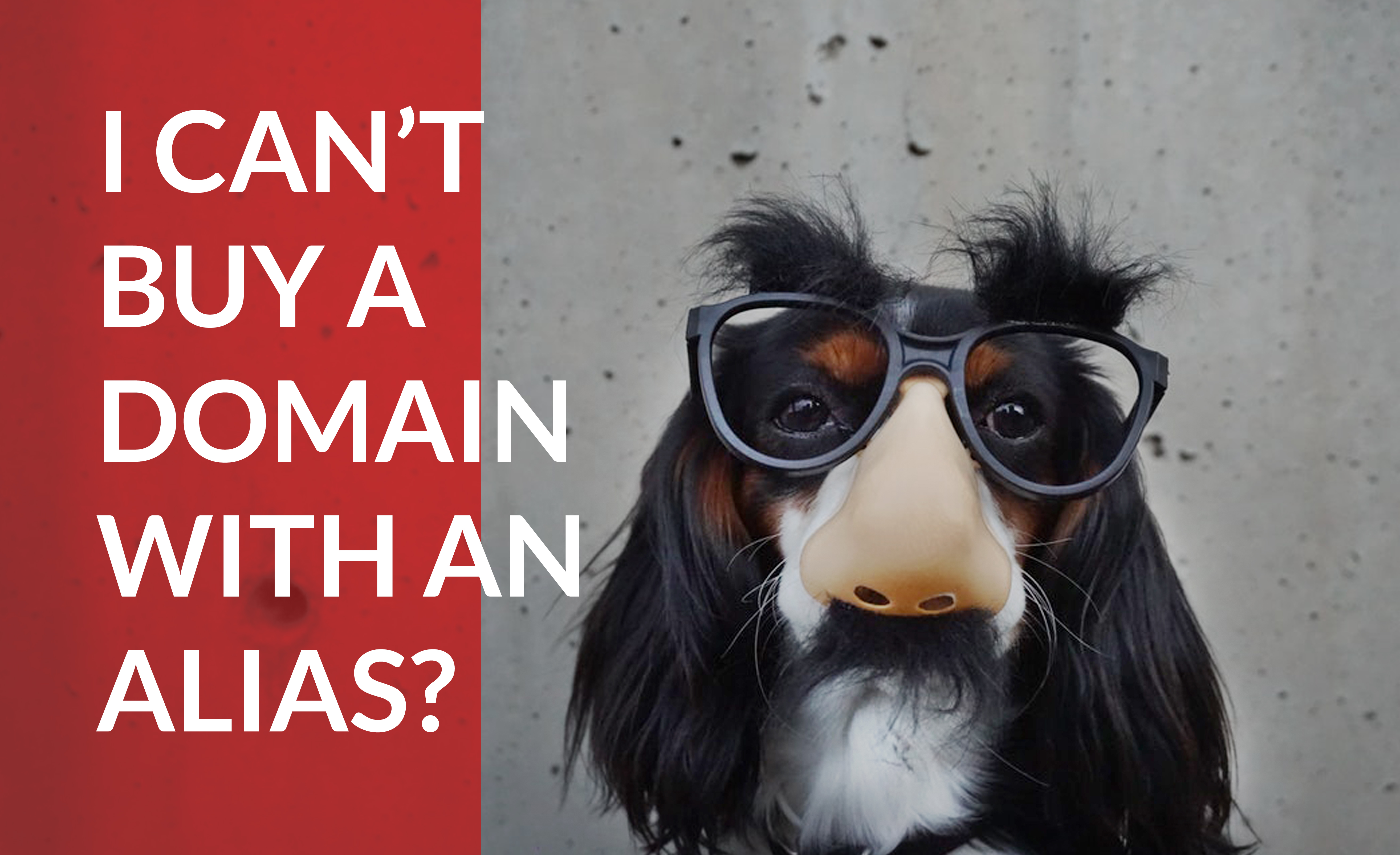 Find out why you have to buy a domain name with your legal name, and not an alias.