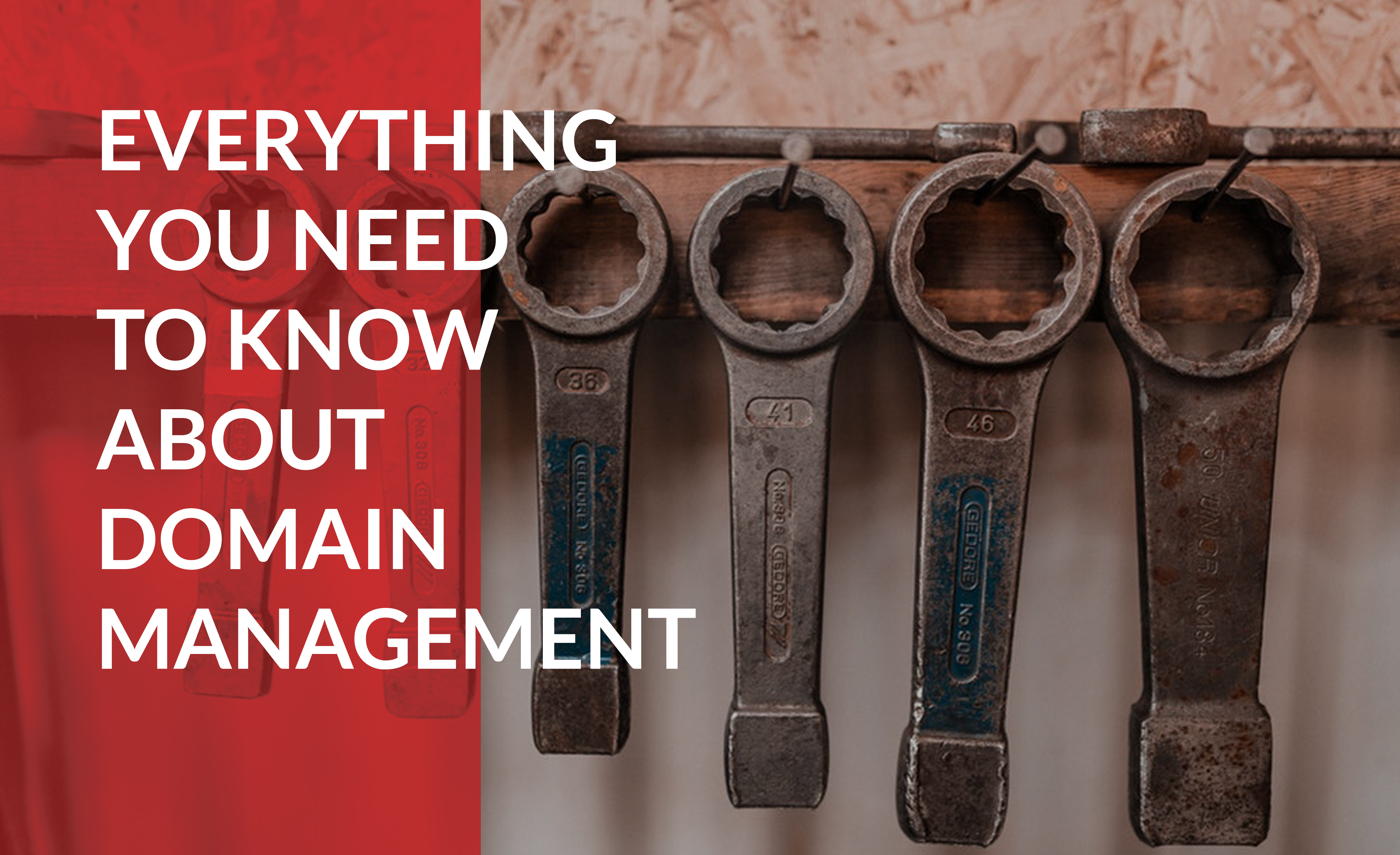 Learn everything you need to know about domain management