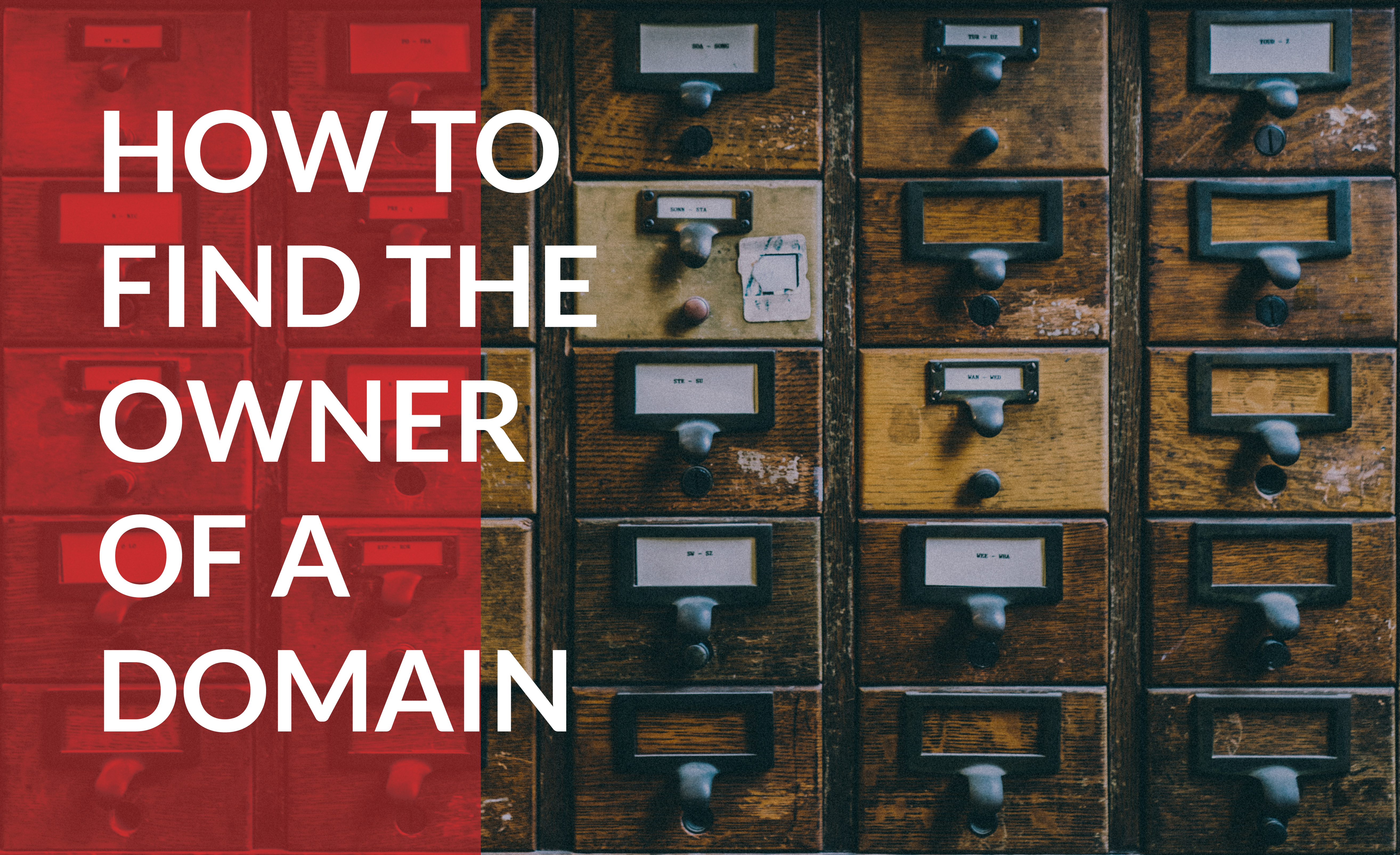 How to find the owner of a domain