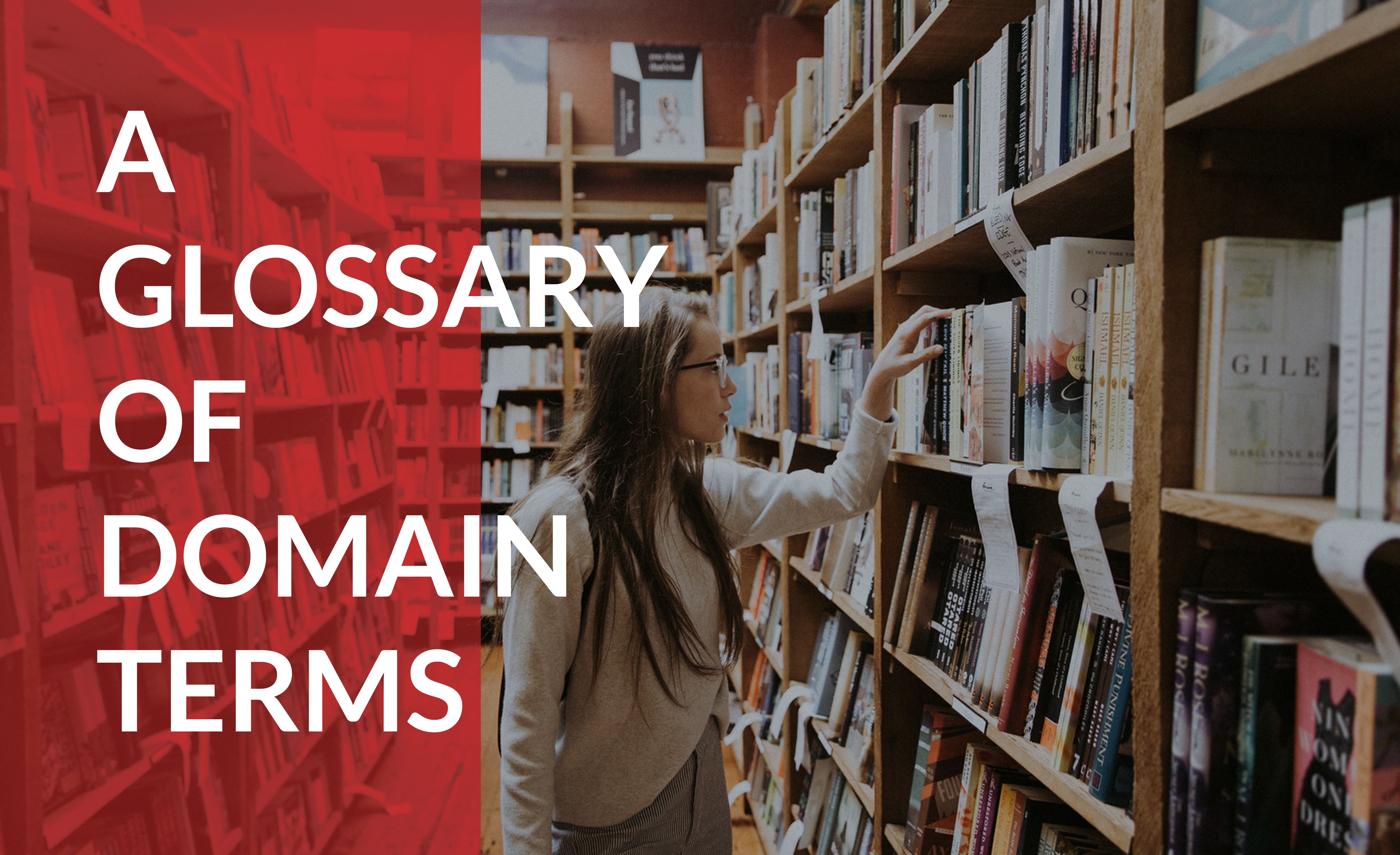 Use this glossary of common domain terms to help you get started