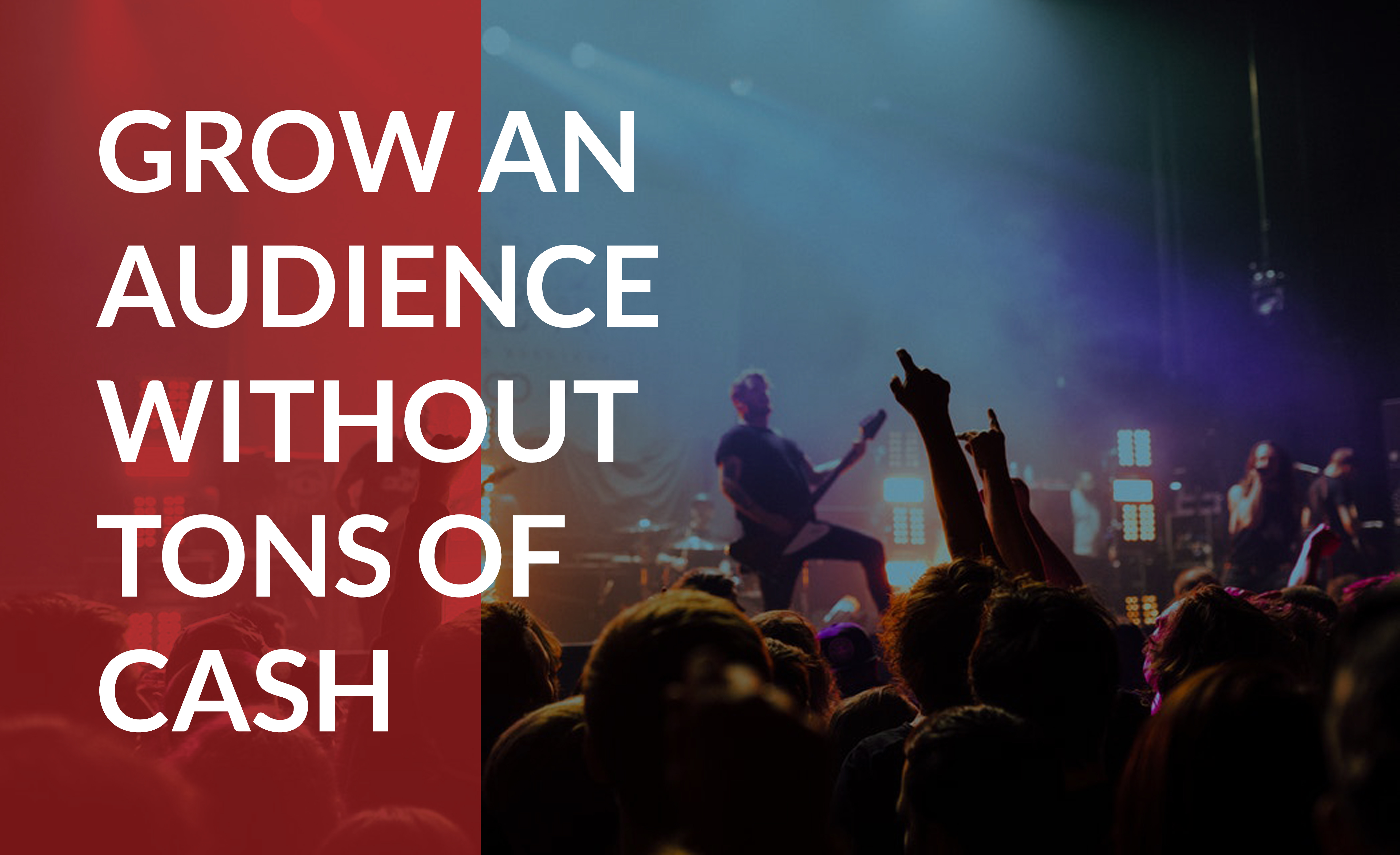 Grow an audience without tons of investment to expand your client list.