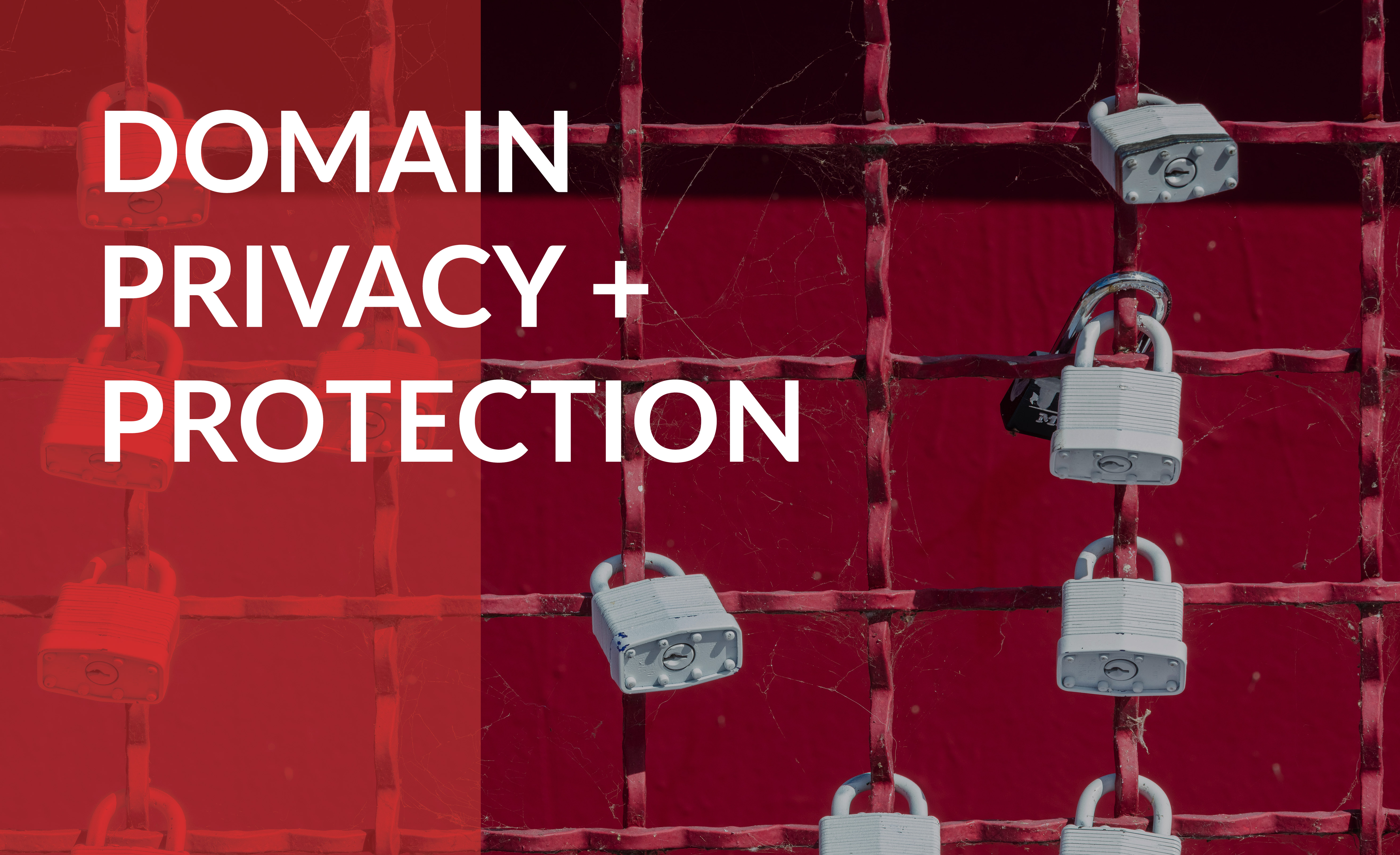 domain privacy and protection