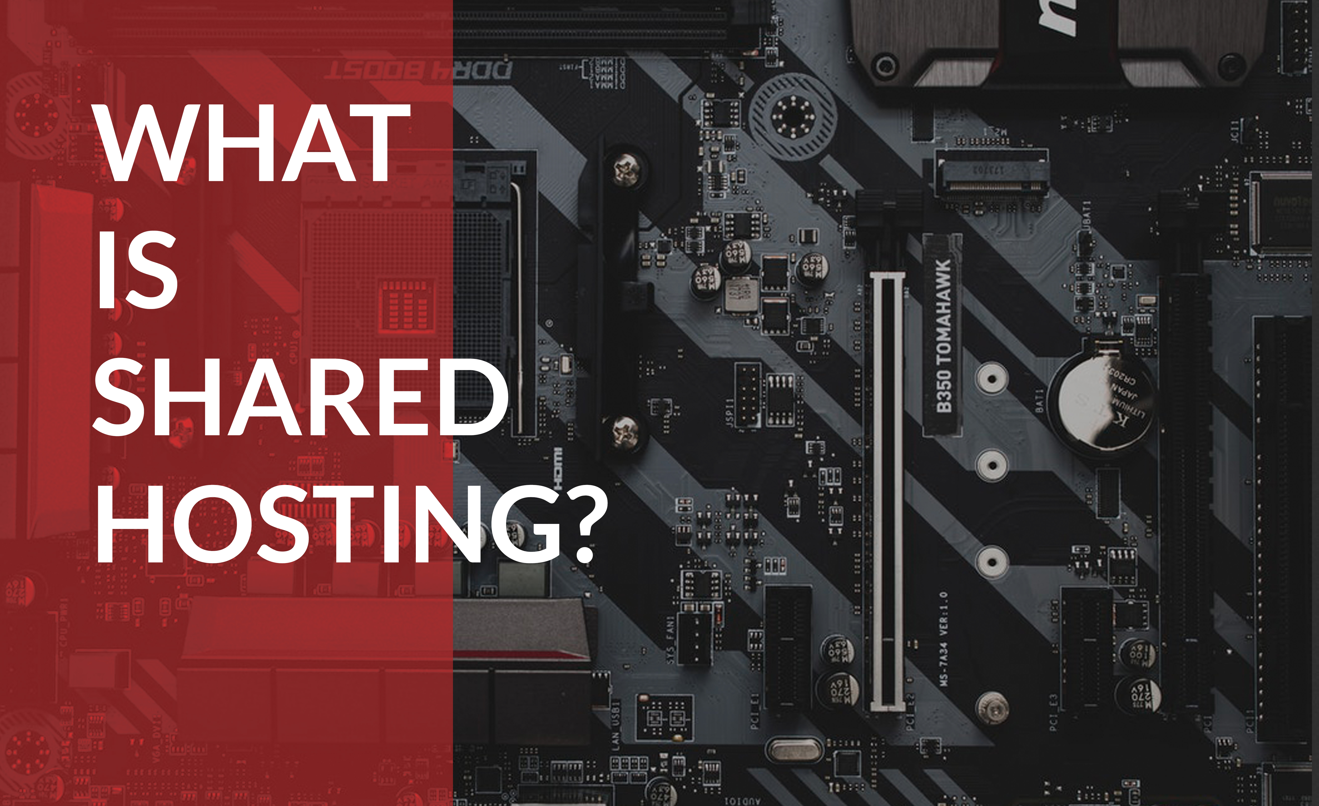 Find out what shared hosting is and how it can help your business.