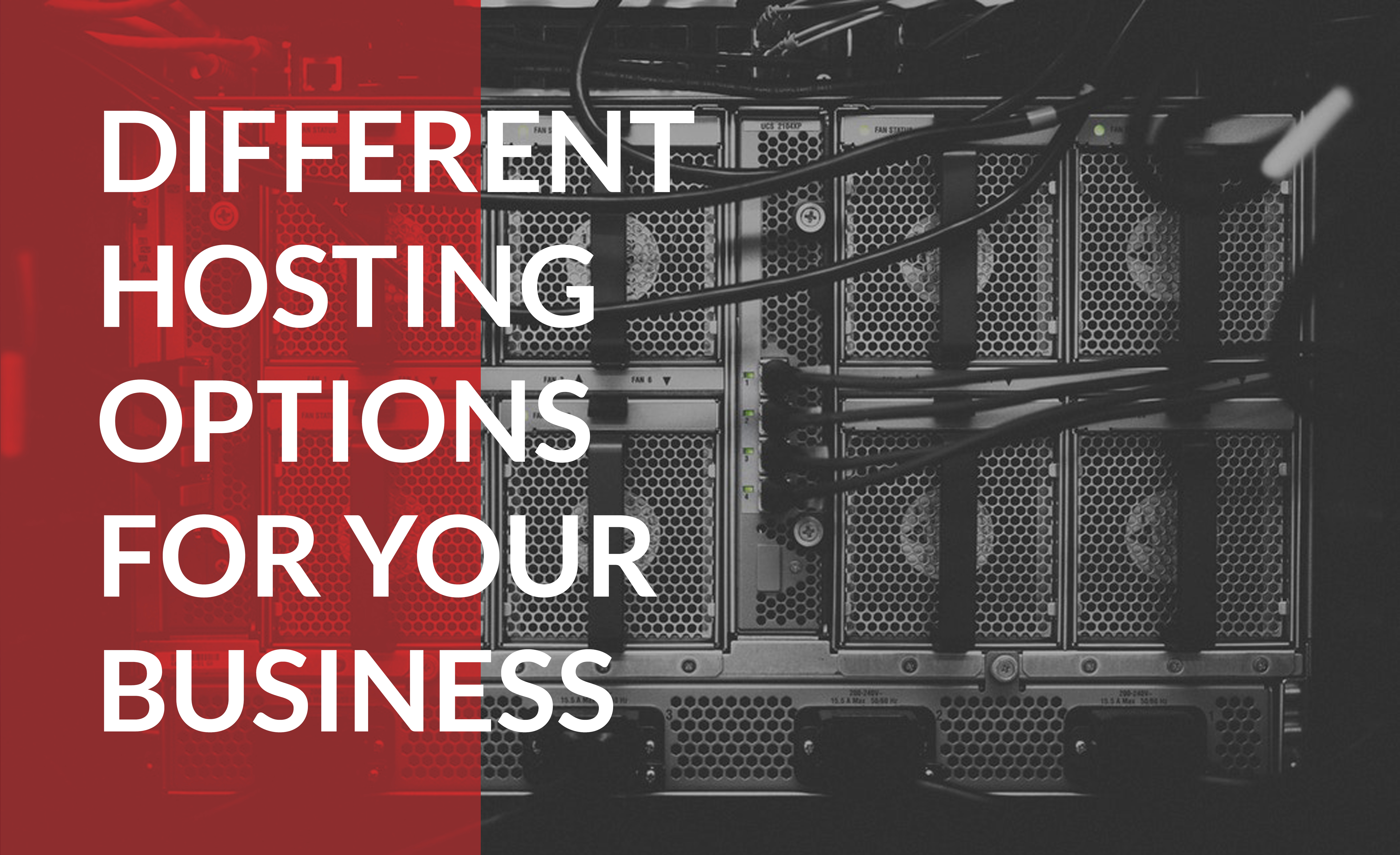 Find out how different hosting options affect your business.