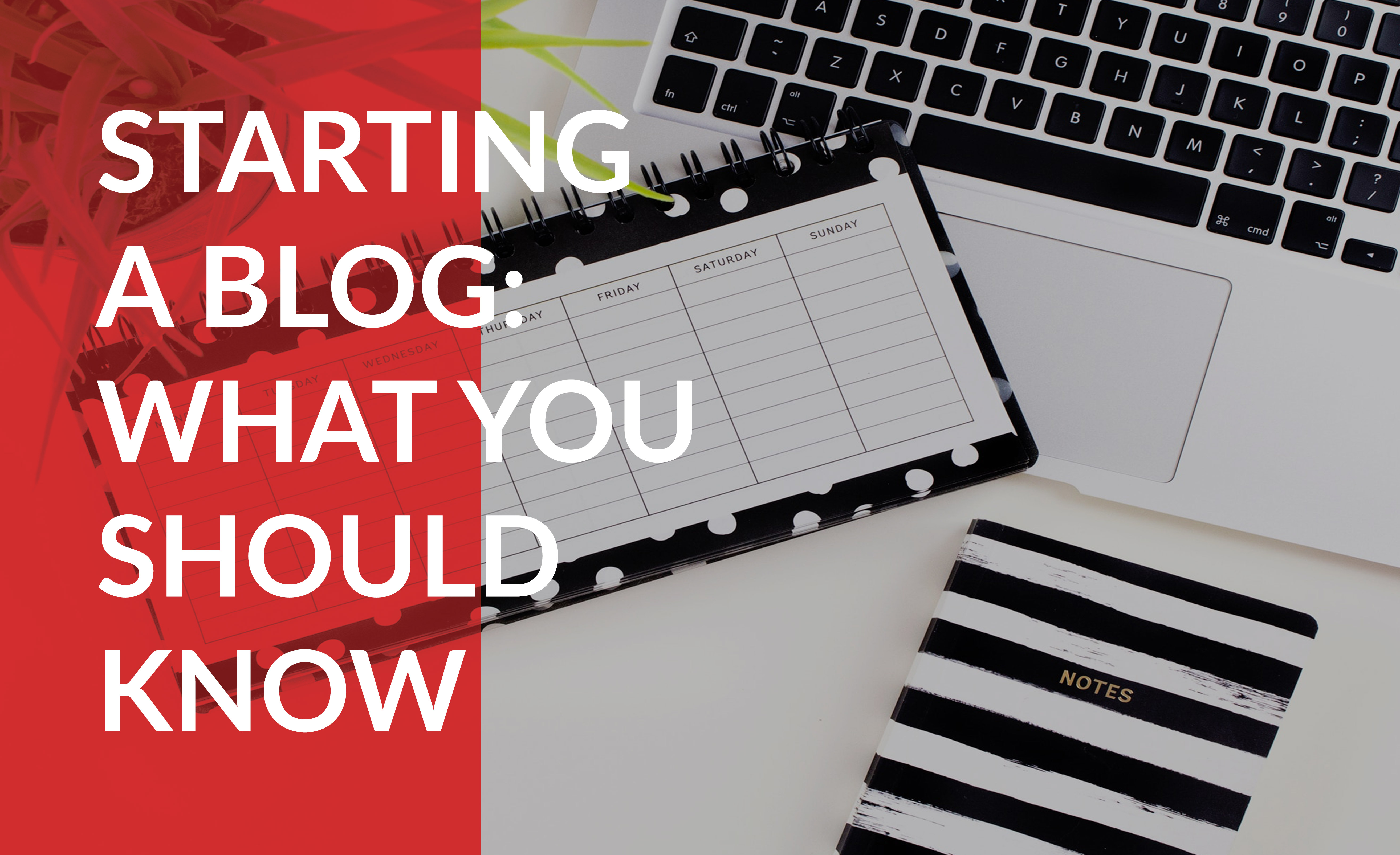 Starting a blog: What you should know